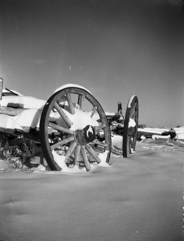 Untitled (wagon wheels)