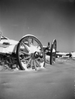 Untitled (wagon wheels)