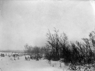 Untitled (trees in winter)