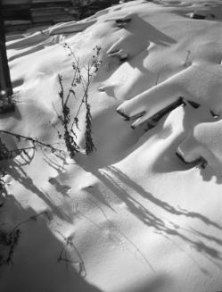 Untitled (snow-covered wood pile)