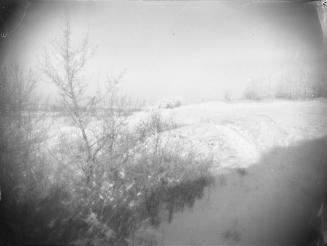 Untitled (rolling land)