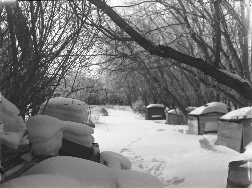 Untitled (snow-covered boxes)