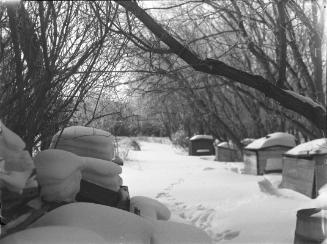 Untitled (snow-covered boxes)