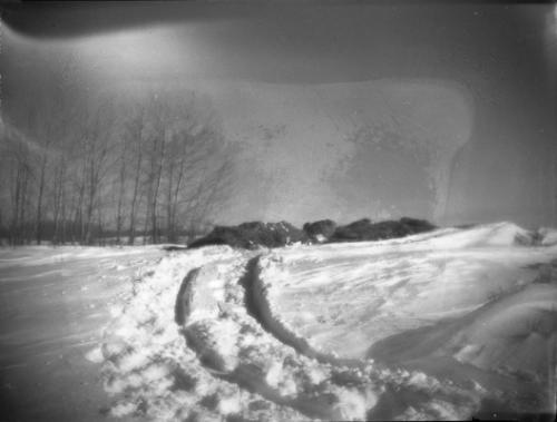 Untitled (road through field)