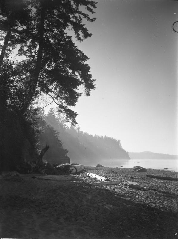 Untitled (logs on beach)