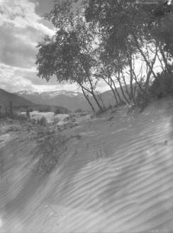 Untitled (sandy hill)