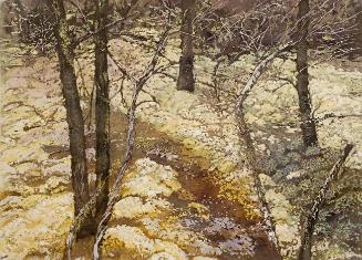 Northern Forest