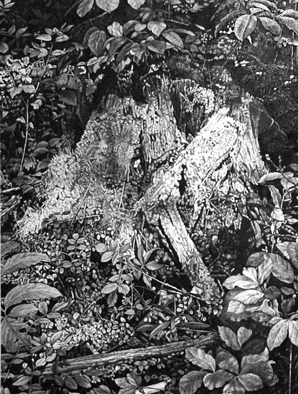 © Estate of Ernest Lindner. Copyright Visual Arts-CARCC, 2021