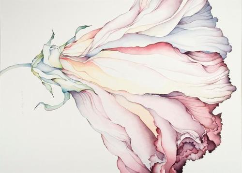 Hibiscus #II