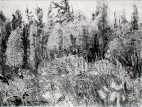Landscape at Emma Lake