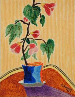 Untitled (hibiscus in pot)
