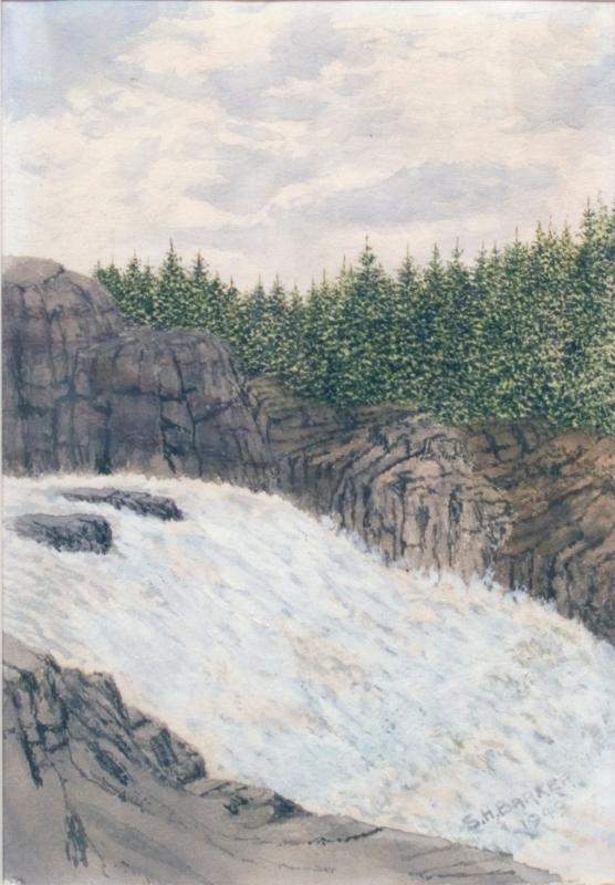 Untitled (rapids and trees)