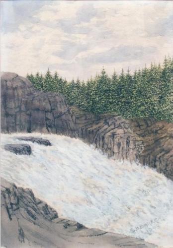 Untitled (rapids and trees)