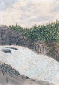 Untitled (rapids and trees)