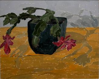 Christmas Cactus