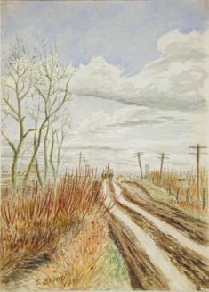 Untitled (country road - spring thaw)