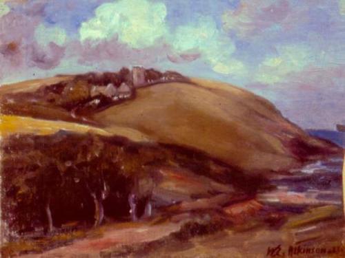 Untitled (coastal hillside)