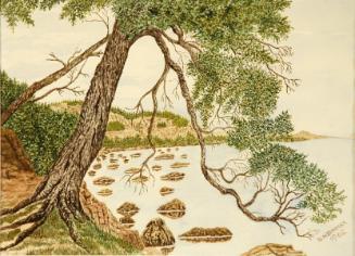 Untitled (tree overhanging water)