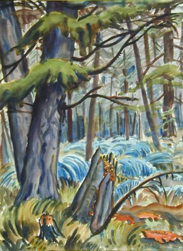 Forest Floor