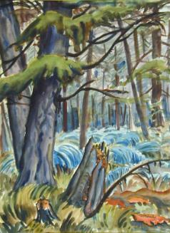 Forest Floor