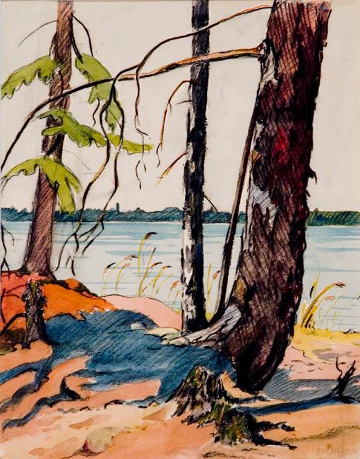 Untitled (trees at Emma Lake)