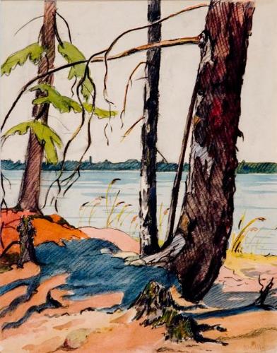 Untitled (trees at Emma Lake)