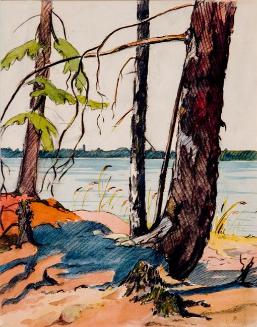 Untitled (trees at Emma Lake)