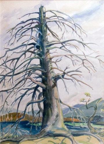 Intrepid Tree