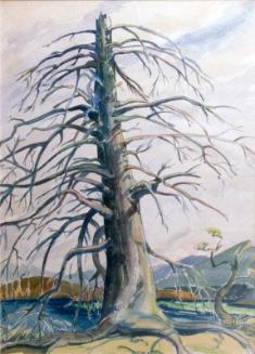 Intrepid Tree