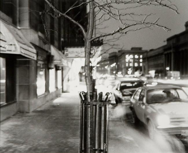 Royal York Hotel, 1982