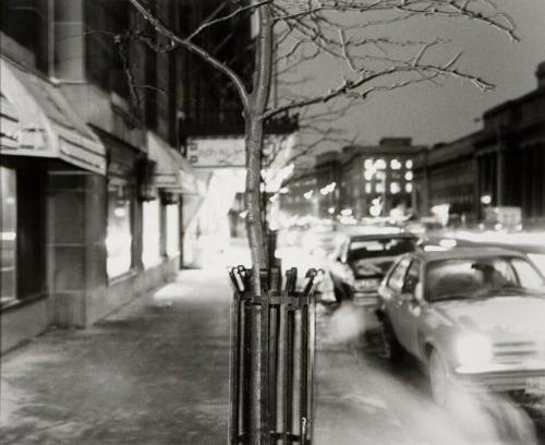 Royal York Hotel, 1982