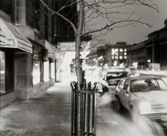 Royal York Hotel, 1982