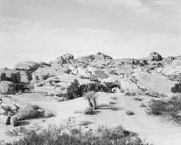 © Susan Close. Copyright Visual Arts-CARCC, 2021