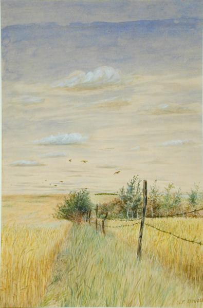 Untitled (fence posts)