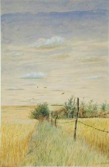 Untitled (fence posts)