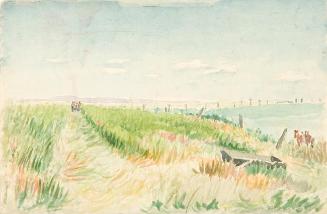 Untitled (fields)