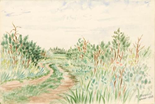 Untitled (country path)