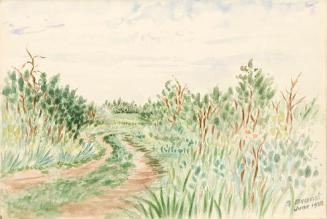 Untitled (country path)