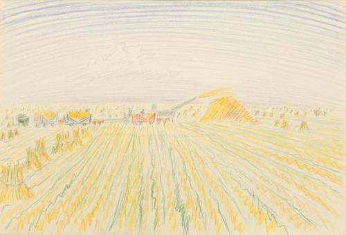 Untitled (harvest)