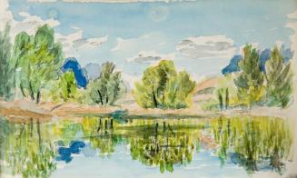 Untitled (trees reflected in water)