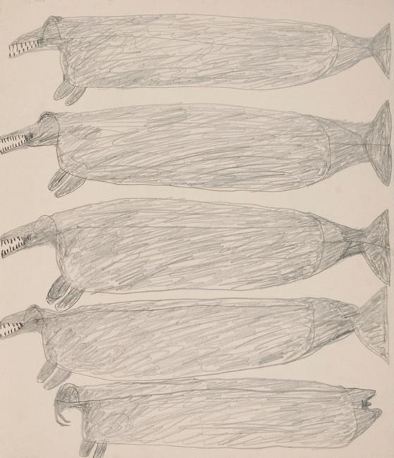 Untitled (seals and walrus)