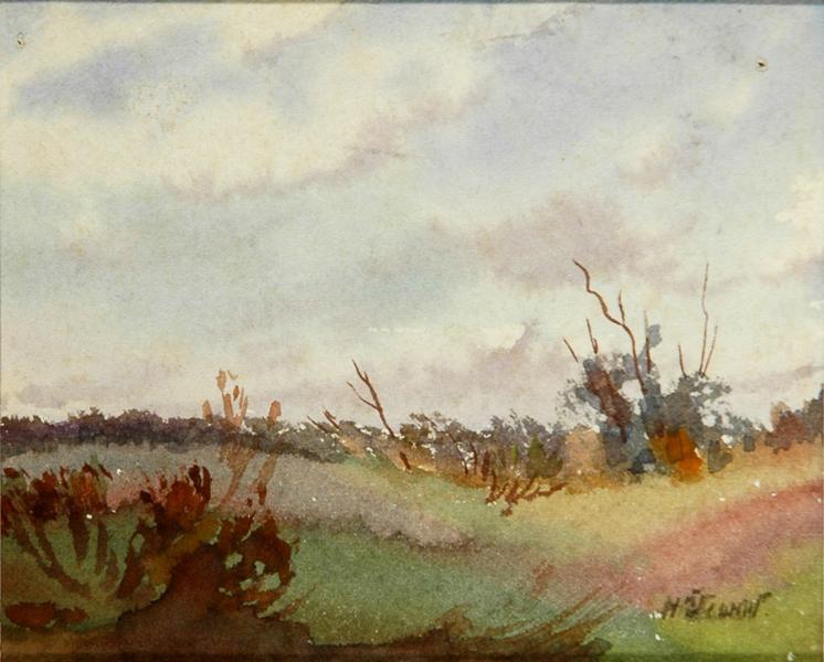 Untitled (prairie)