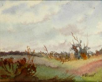 Untitled (prairie)