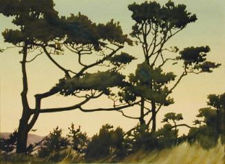 Untitled (Oregon coast)