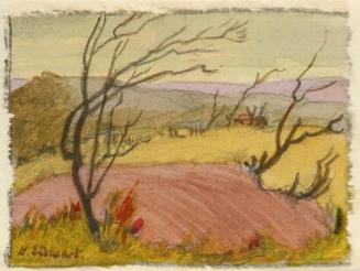 Untitled (country road)