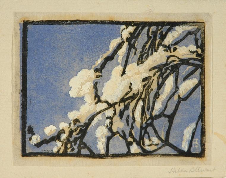 Untitled (snow-covered boughs)