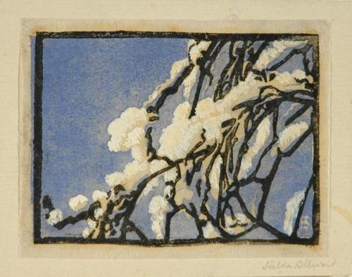 Untitled (snow-covered boughs)