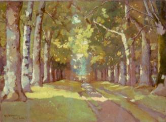 Pont-Aven (road through woods)