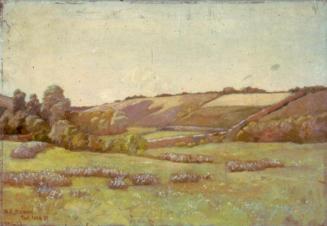 Pont-Aven - Meadow with Heather
