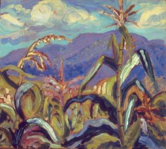 Corn, Stowe, VT